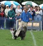Richard Curtis and Jazz perform a canine freestyle / dog dancing routine