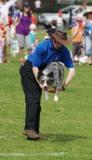 richard curtis and pogo performing in the k9 freestyle dancing dogs display 