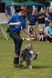 Pogo a member of the canine freestyle dancing dog display