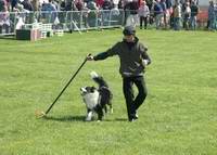 Richard Curtis and Jazz perform part of the k9 freestyle dancing dog display