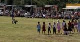 richard curtis and his dogs performing part of the k9 freestyle dog display at a country event